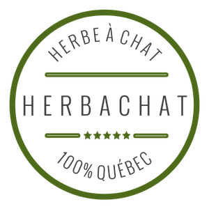 Herbachat